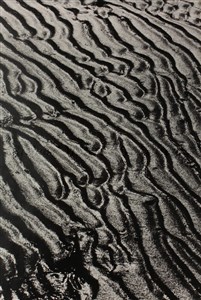 Image description is not available for 2007.109